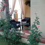 Valentina's Garden House